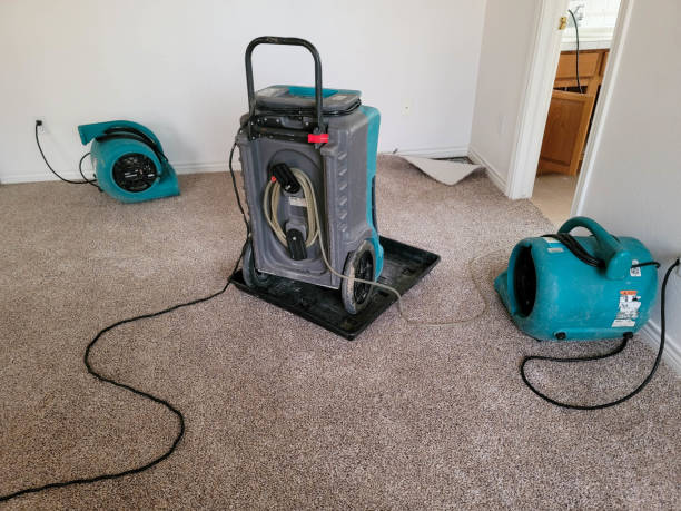 Best Emergency water damage restoration  in Sand Lake, MI