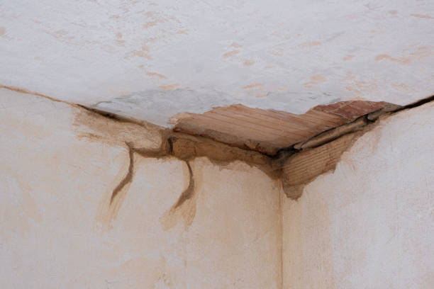 Best Carpet water damage restoration  in Sand Lake, MI