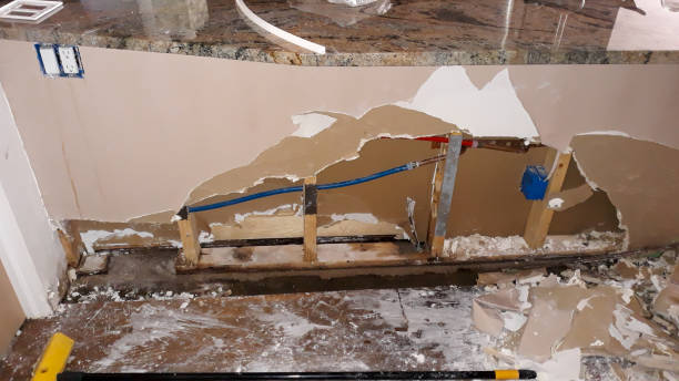 Best 24-hour water damage restoration  in Sand Lake, MI
