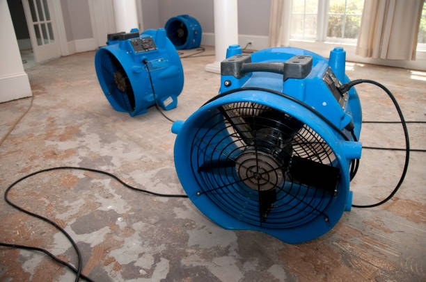 Best Residential water damage restoration  in Sand Lake, MI