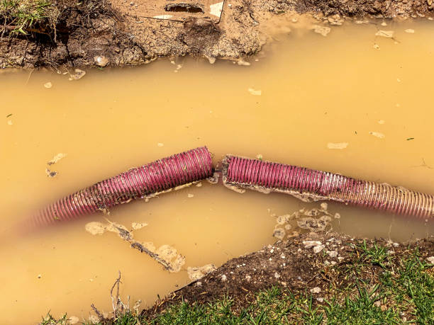 Best Professional water damage repair  in Sand Lake, MI